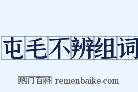 屯毛不辨组词是什么意思的图片